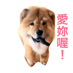 [LINEスタンプ] chowchow Polly 2