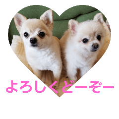 [LINEスタンプ] ちびーず7の画像（メイン）