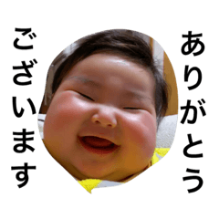 [LINEスタンプ] うちの葵ちゃんですの画像（メイン）