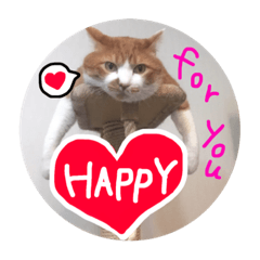 [LINEスタンプ] my happy for youの画像（メイン）