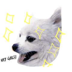 [LINEスタンプ] Evil funny dog