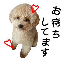 [LINEスタンプ] 小餅LIFEの画像（メイン）