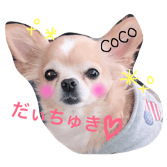 [LINEスタンプ] cocoro-1の画像（メイン）