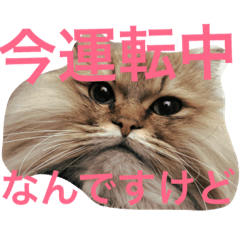 [LINEスタンプ] 気ままな猫達2