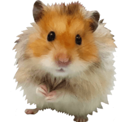 [LINEスタンプ] Golden Hamster~MoMoJai~ 4