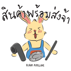 [LINEスタンプ] Siam pipeline Systemの画像（メイン）