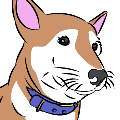 [LINEスタンプ] 柴犬 いっちゃんの画像（メイン）