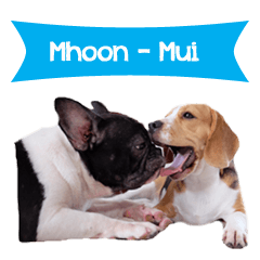 [LINEスタンプ] Mhoon Mui ＆ The Gangの画像（メイン）