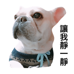 [LINEスタンプ] Daily Life of French Bulldog Mabo