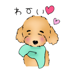 [LINEスタンプ] ハッピーわんこ！癒しのトイプードル