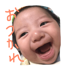 [LINEスタンプ] ひだちゃんの画像（メイン）