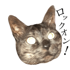 [LINEスタンプ] りんさんすたんぷ