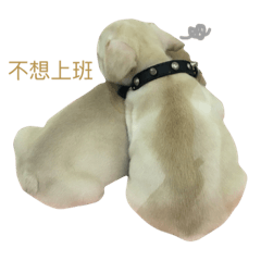 [LINEスタンプ] BOW-WOW DOGSの画像（メイン）