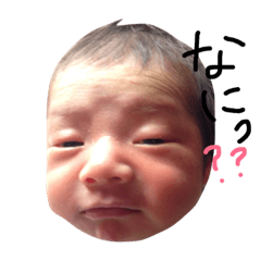 [LINEスタンプ] スタンプたくちゃんの画像（メイン）