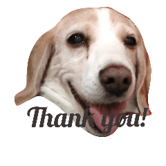 [LINEスタンプ] My lovely beagle always on his way.