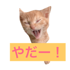 [LINEスタンプ] こたけ と こなみの画像（メイン）