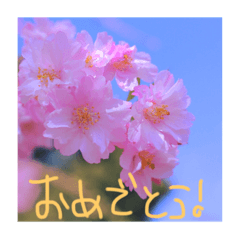 [LINEスタンプ] 手書きスタンプ〜手書き文字、写真〜