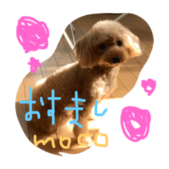 [LINEスタンプ] 愛犬モコのスタンプmoco2