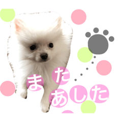 [LINEスタンプ] るうくんのすたんぷ2編集後