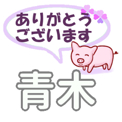 [LINEスタンプ] 青木「あおき」さん専用。日常会話