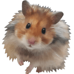 [LINEスタンプ] Golden Hamster~MoMoJai~ 5