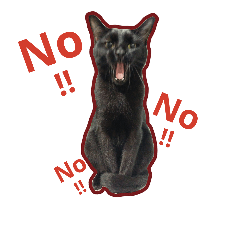 [LINEスタンプ] My cats are so cute.3