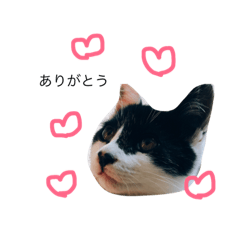 [LINEスタンプ] よもスタンプ