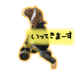 [LINEスタンプ] kotanon.stamp2の画像（メイン）