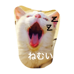 [LINEスタンプ] おこみこの画像（メイン）