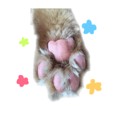 [LINEスタンプ] うちのねこ〜その2〜の画像（メイン）