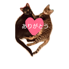 [LINEスタンプ] くろとしま