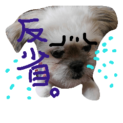 [LINEスタンプ] くるみっち2