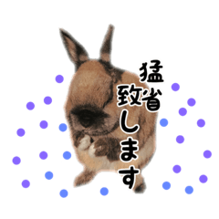 [LINEスタンプ] Convenient honorific and The tote rabbit