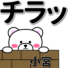 [LINEスタンプ] 小宮専用デカ文字