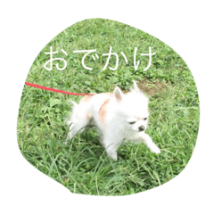 [LINEスタンプ] おでかけはち