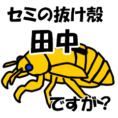 [LINEスタンプ] セミのぬけがら田中のつぶやき