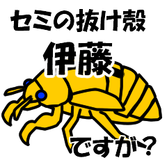 [LINEスタンプ] セミのぬけがら 伊藤ですが？の画像（メイン）