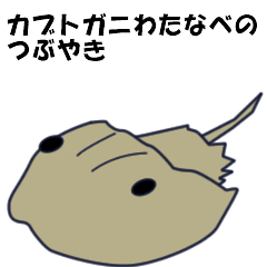 [LINEスタンプ] カブトガニわたなべのつぶやきの画像（メイン）