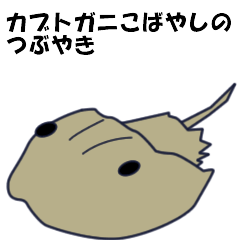 [LINEスタンプ] カブトガニこばやしのつぶやきの画像（メイン）