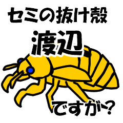 [LINEスタンプ] セミのぬけがら渡辺ですが？