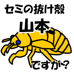 [LINEスタンプ] セミのぬけがら山本ですが？の画像（メイン）