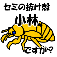 [LINEスタンプ] セミのぬけがら小林ですが？の画像（メイン）