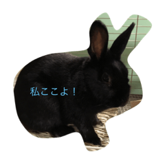 [LINEスタンプ] クロミチャン