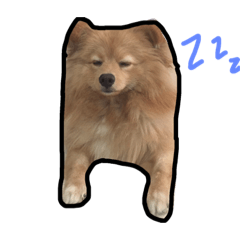 [LINEスタンプ] the dog lugaBの画像（メイン）