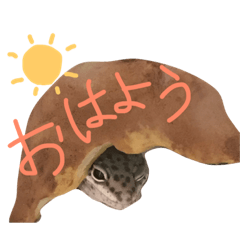 [LINEスタンプ] かげろう