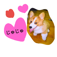 [LINEスタンプ] the welsh corgi you can't work7の画像（メイン）