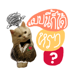 [LINEスタンプ] kitcattyの画像（メイン）