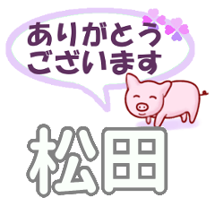 [LINEスタンプ] 松田「まつだ」さん専用。日常会話