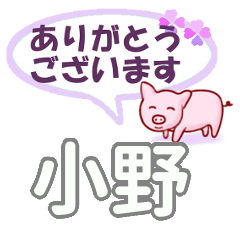 [LINEスタンプ] 小野「おの」さん専用。日常会話