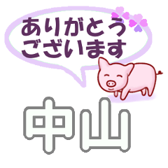 [LINEスタンプ] 中山「なかやま」さん専用。日常会話